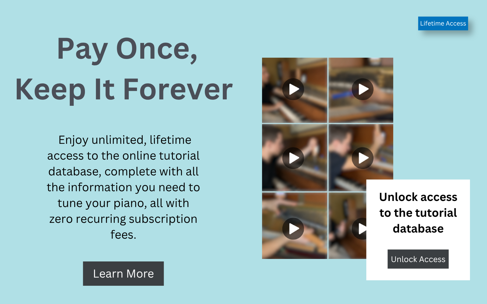 Lifetime Access